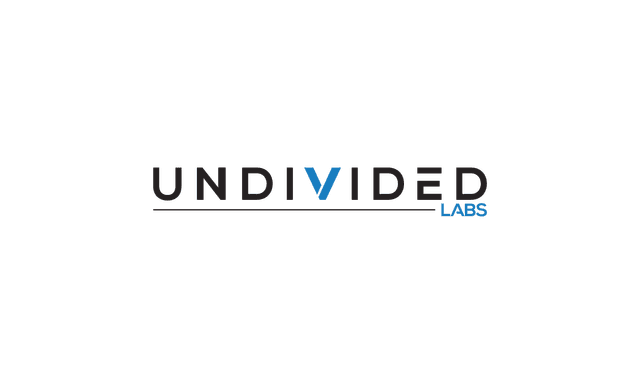 Undivided Logo